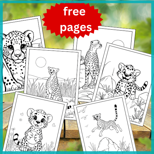 Cheetah coloring pages