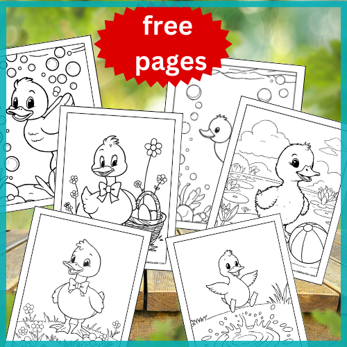 Duck coloring pages