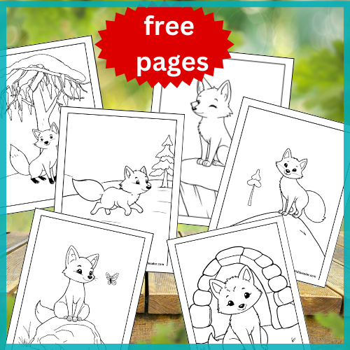 Arctic Fox Coloring Pages