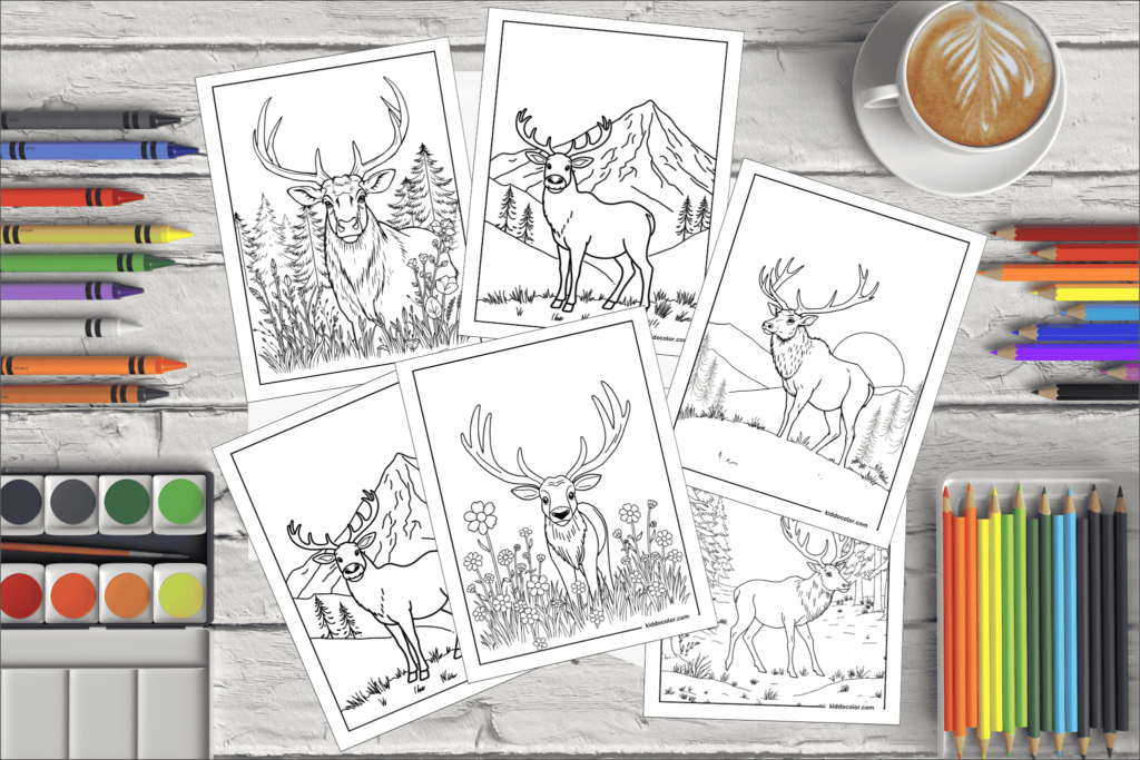 Elk coloring pages