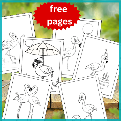 Flamingo chick coloring pages