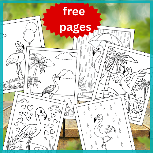 Flamingo coloring pages