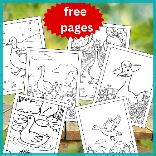 Goose coloring pages