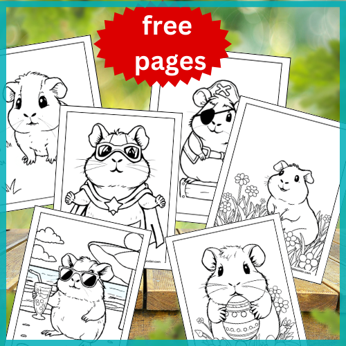 Guinea pig coloring pages