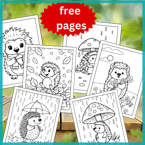 Hedgehog coloring pages