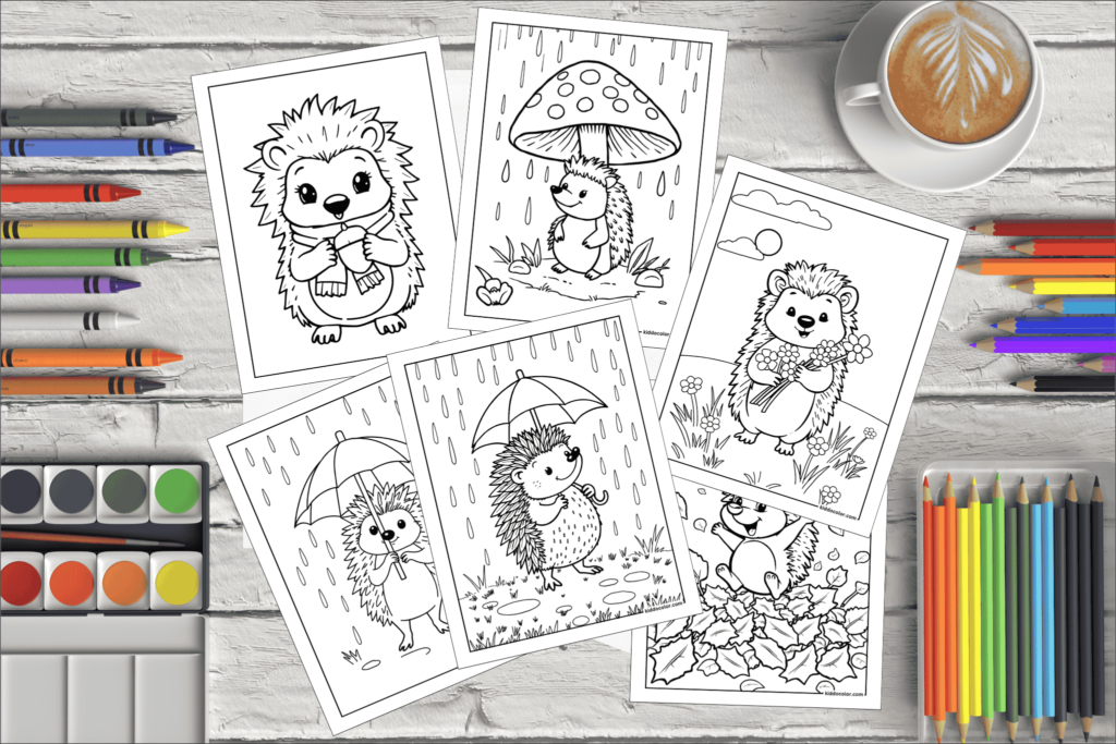 Hedgehog coloring pages