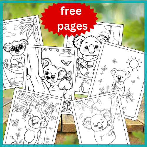 Koala coloring pages