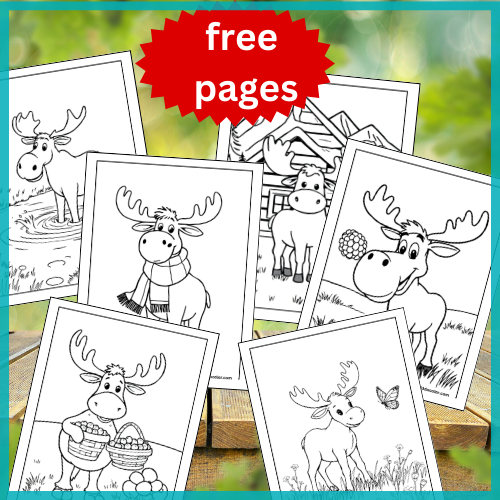 Moose coloring pages