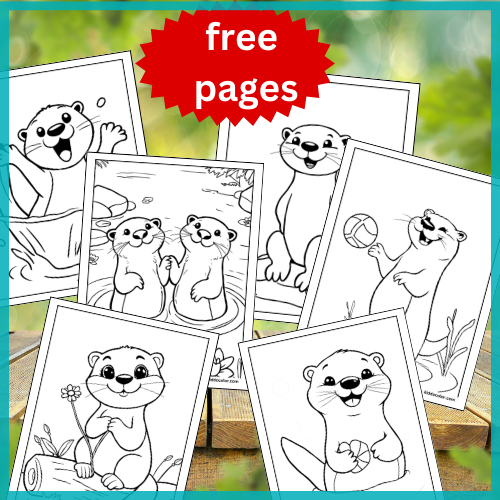 Otter coloring pages