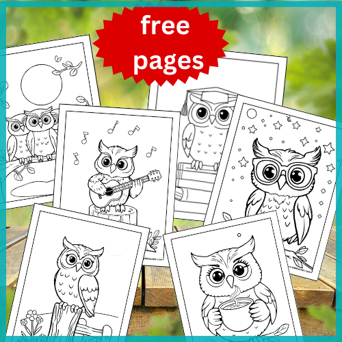 Owl coloring pages