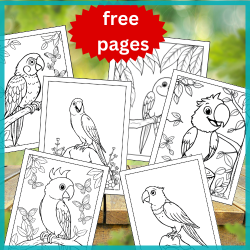 Parrot coloring pages