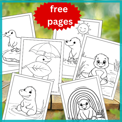 Platypus Coloring Pages