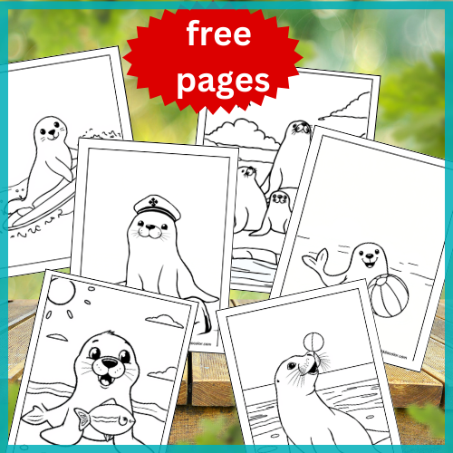 Seal coloring pages