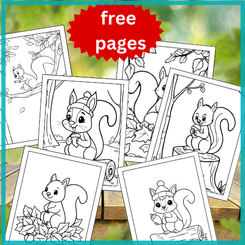 Squirrel coloring pages