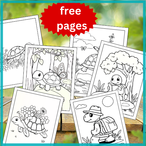 Turtle coloring pages