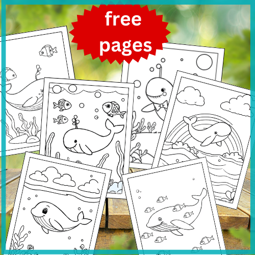 Whale coloring pages