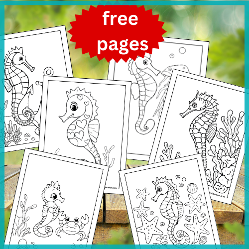 seahorse coloting pages