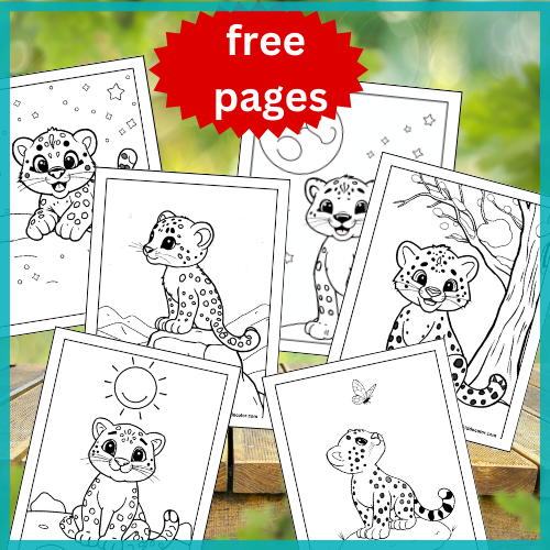 snow leopard coloring pages