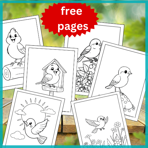 sparrow coloring pages