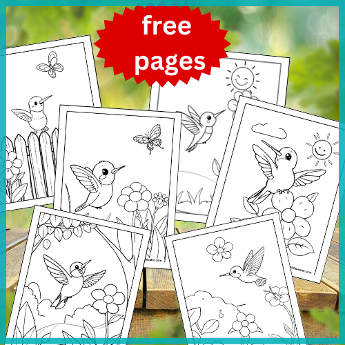 Hummingbird coloring pages