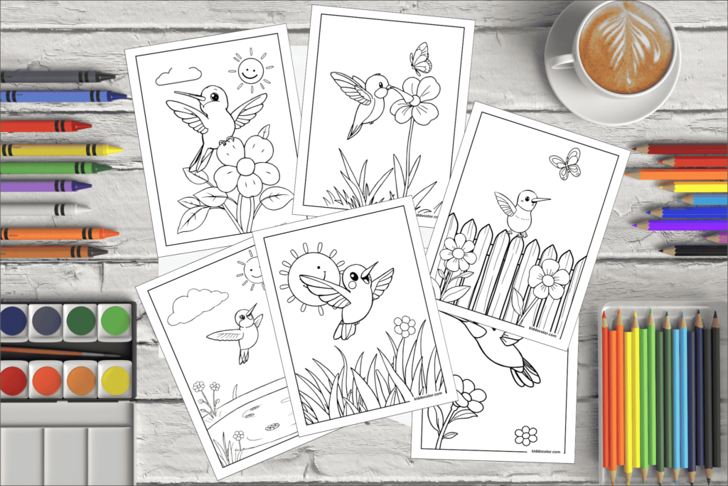 Hummingbird coloring pages