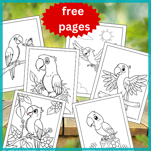 Macaw Coloring Pages