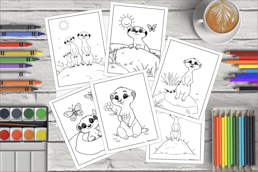 Meerkat coloring pages