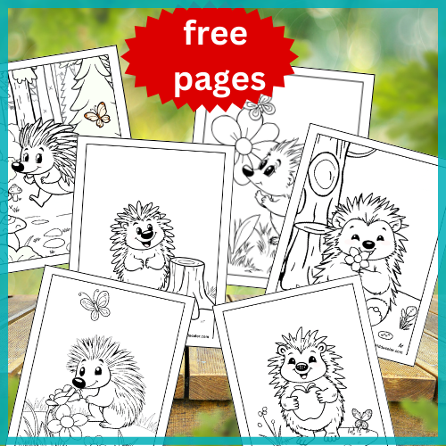 Porcupine coloring pages