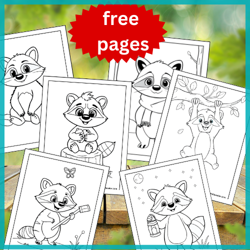 Raccoon coloring pages