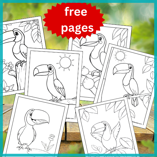 Toucan Coloring Pages