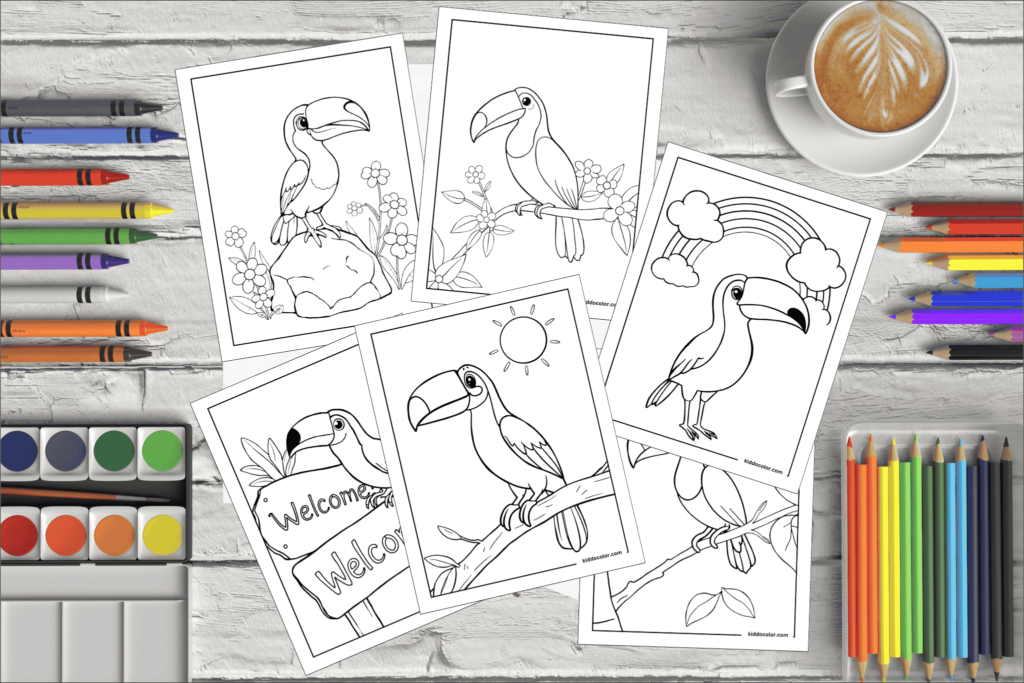 Toucan Coloring Pages