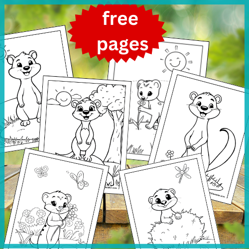 Weasel coloring pages